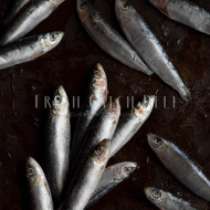 Sardines Large 800g
