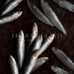 Sardines Large 800g
