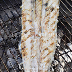 Snoek Mildly Cured 1kg