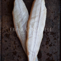 Soles West Coast – Dressed